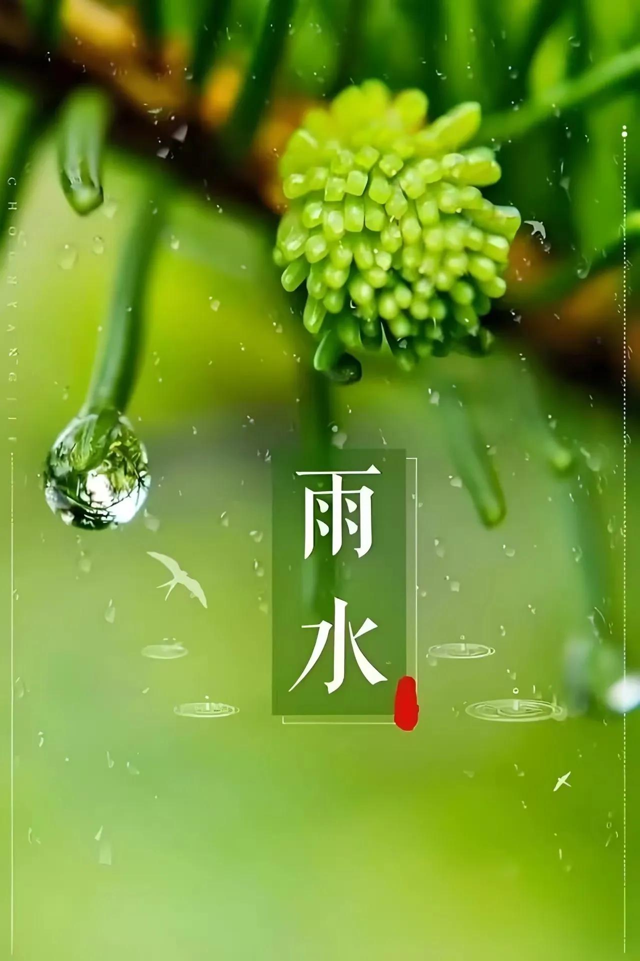 好雨知时节，当春乃发生，今日雨水。