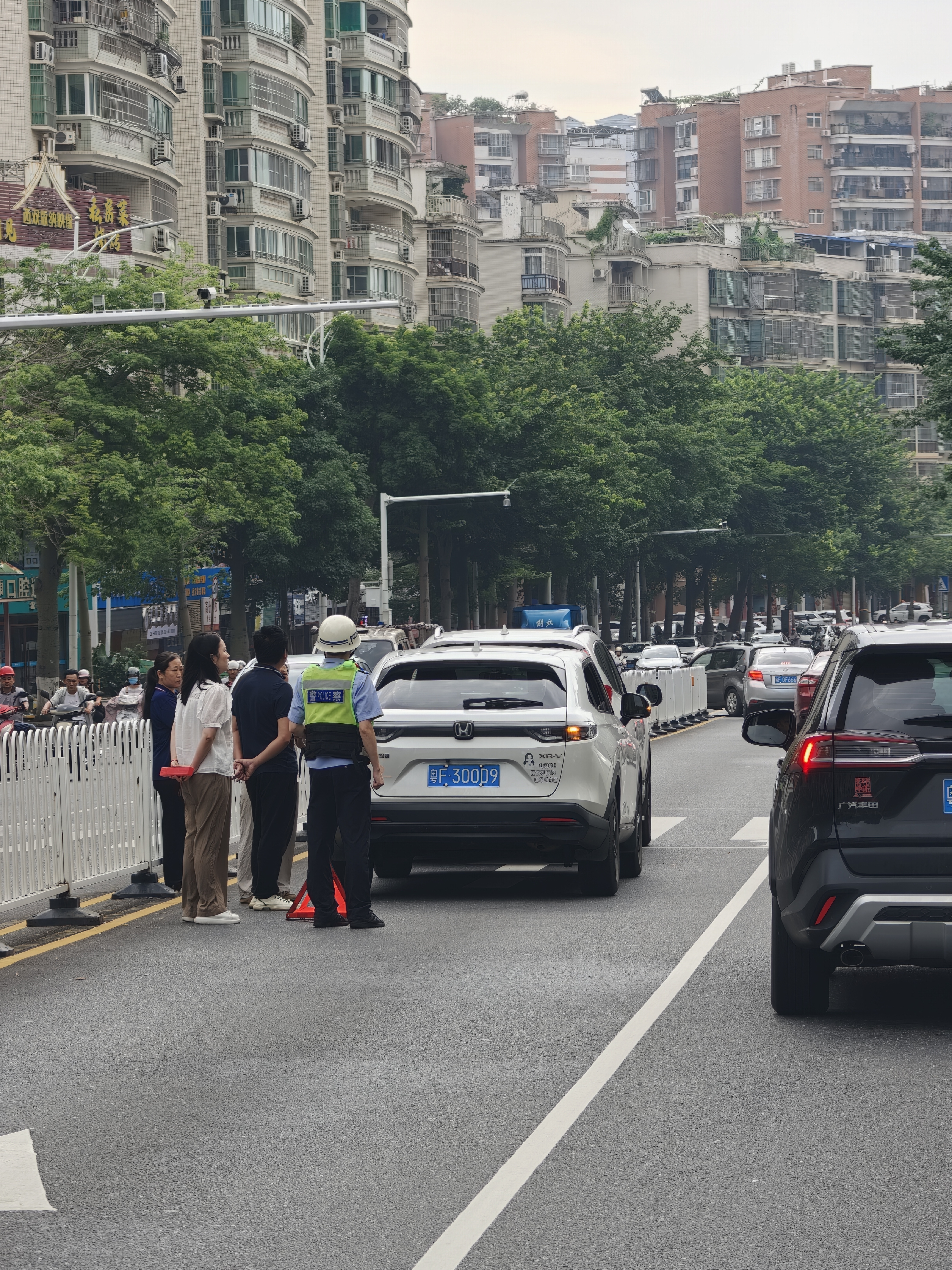马路上的卧龙凤雏真多