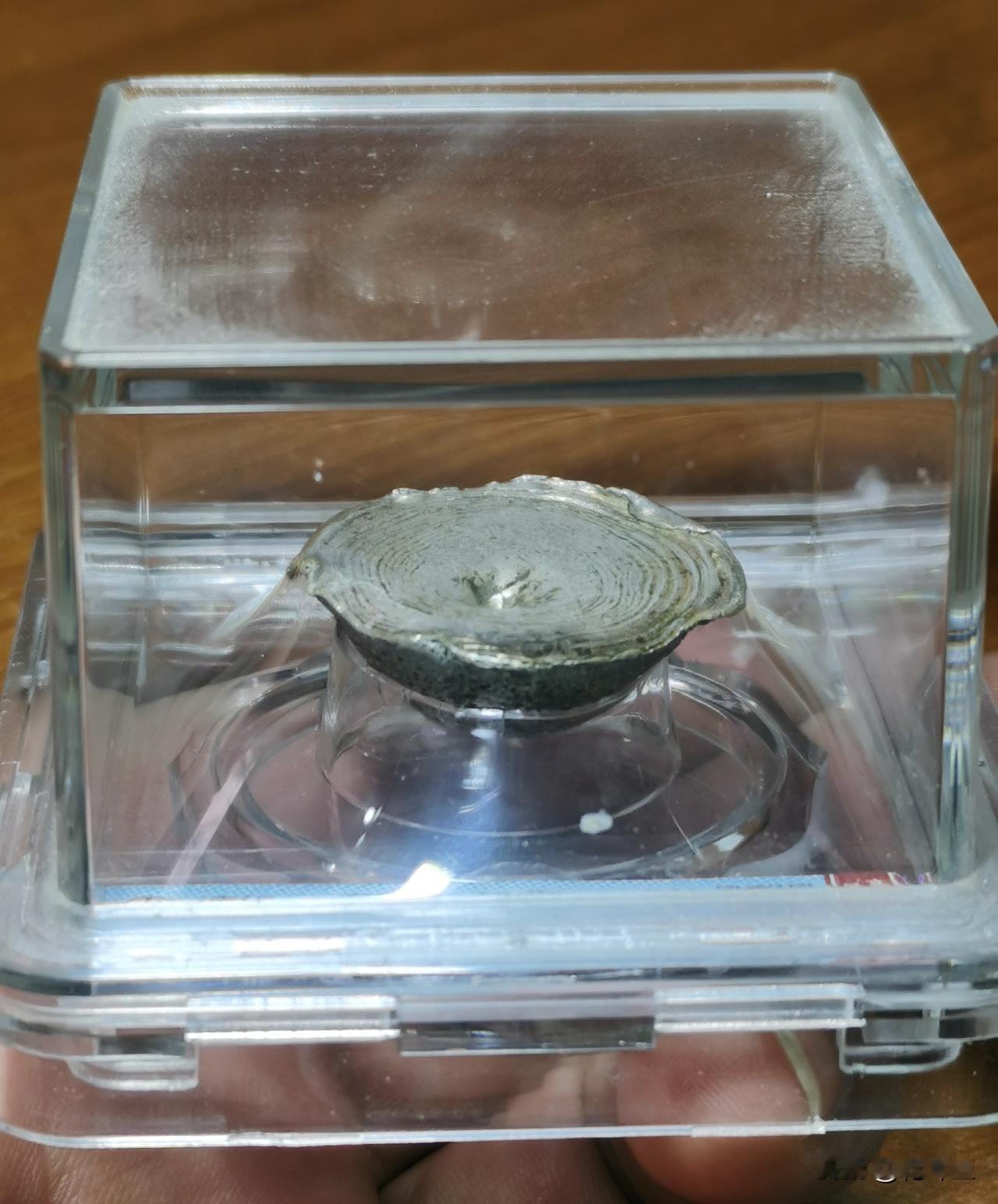 不知不觉它偷偷的涨了这么多？
    大概很多人不认识它，它的名字叫鸡窝锭，以前