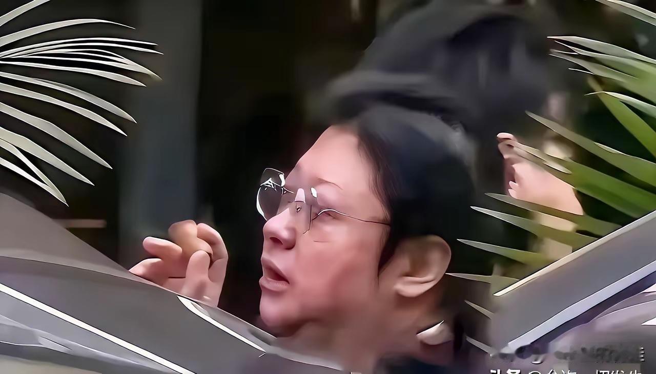 就是太爱显摆了，老这么干，几十辆车，上百人，还有十几个明星，浩浩荡荡的，这是干啥