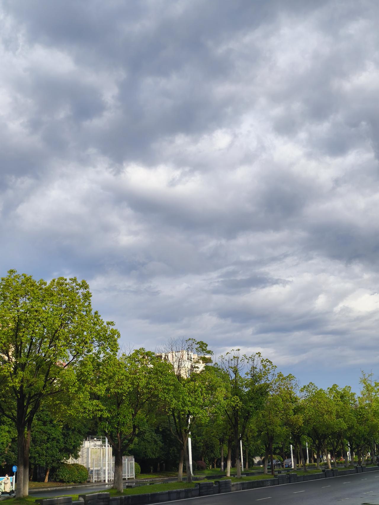 友友们,你感受到台风了吗?今年第9号台风“巴威”可太猛了！它自7月2日生成，在洋