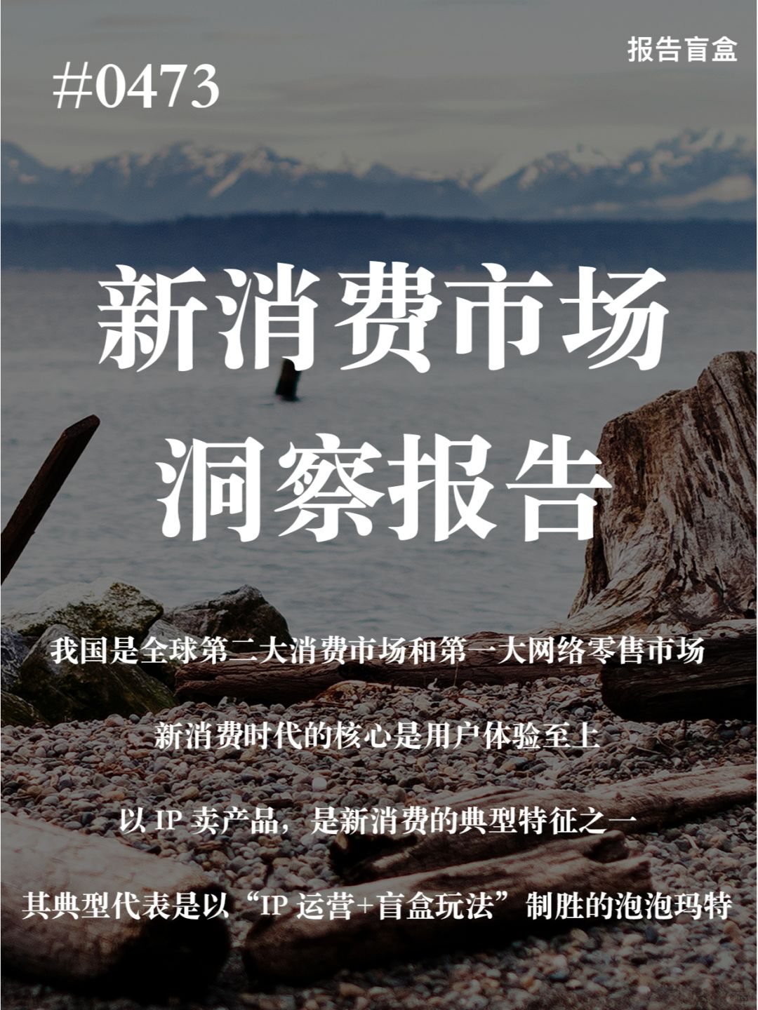 | 2023新消费市场洞察报告