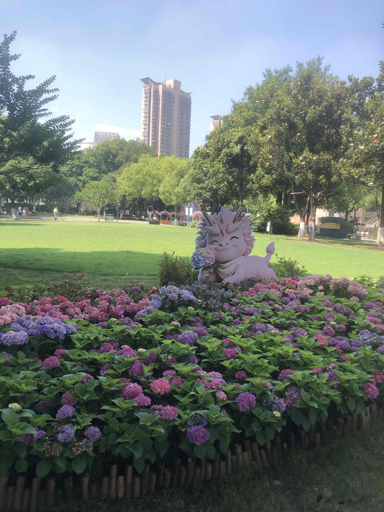 今天多云转晴，带着孩子逛人民公园了，路边大片绣球开得热热闹闹，粉紫白各色花团挤在