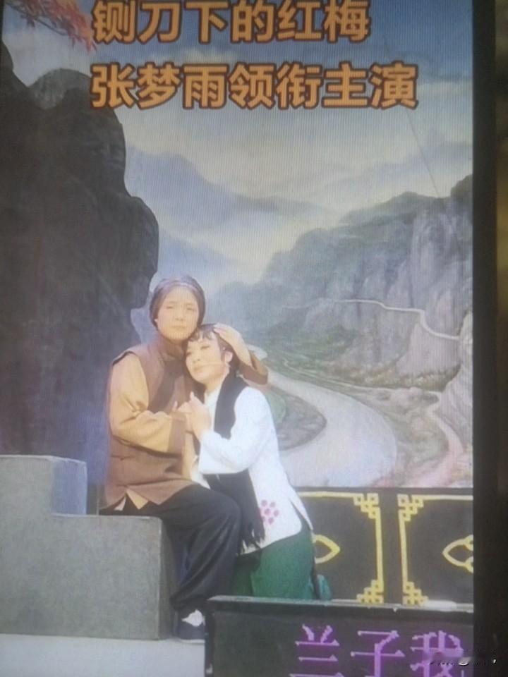 张梦雨，是襄阳市艺术剧院的青年演员，在传承豫剧的道路上着实耀眼。2020年11月