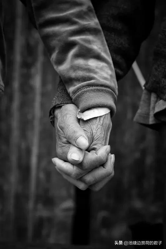 人与人之间，最好的关系是惜缘、随缘、不攀缘，也是做事靠谱、懂得感恩、心怀善念。