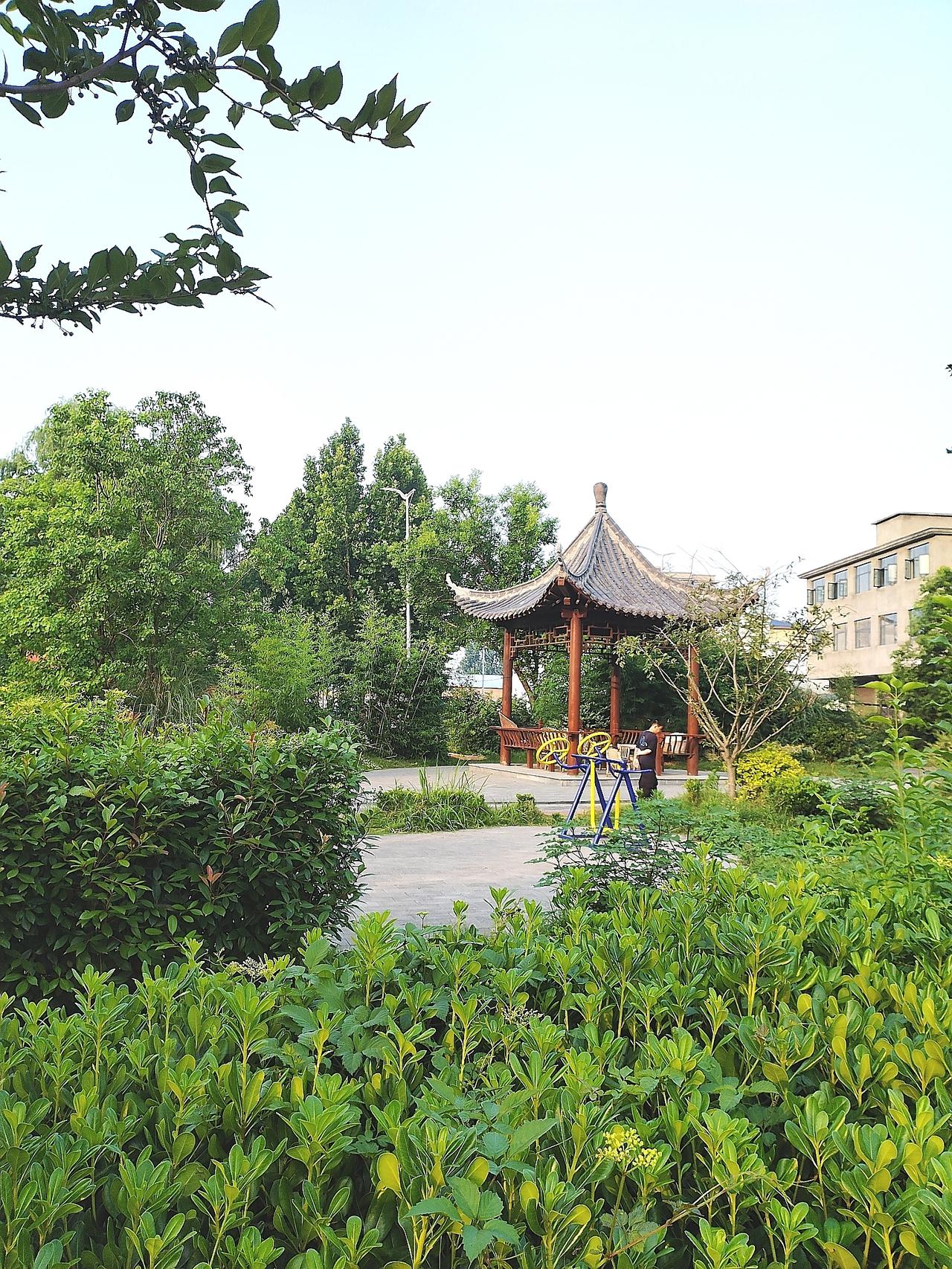 今天早晨出去锻炼身体，在沈丘火车站广场散步时，看到初夏的美景，随手拿起手机拍照，