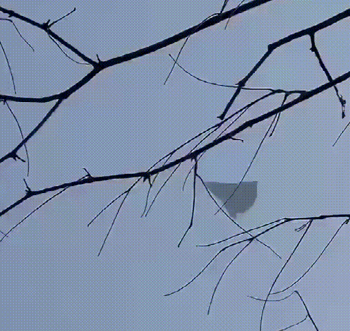 太科幻了！“六代机”就这么飞了，是个什么级别的飞机？我不知道，只知道给他伴飞的是