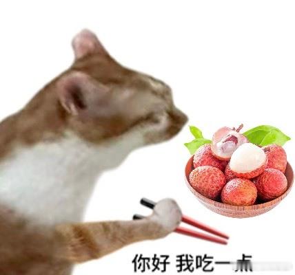 珠海荔枝鲜到西安荔香乘风越山海，岭南风物赴长安。珠海荔枝抢先登机奔赴西安，以一抹