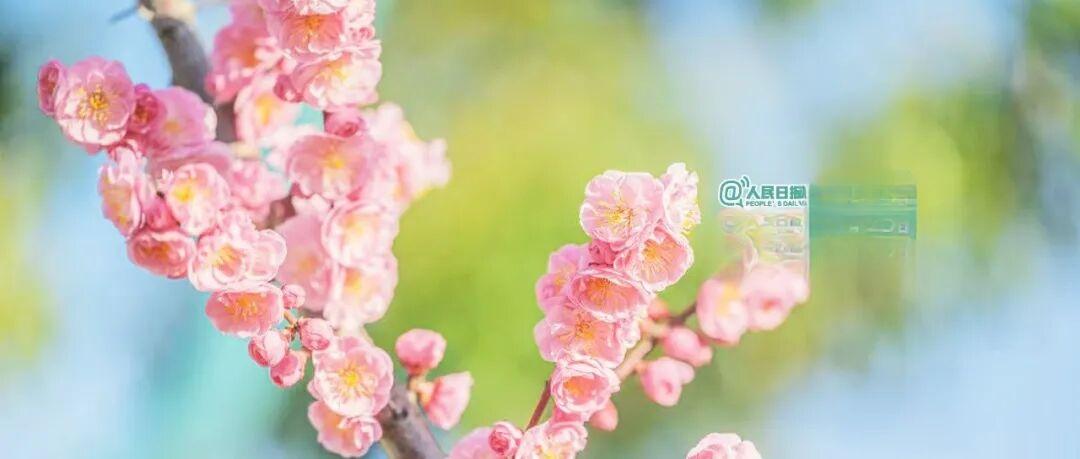 上午，我拎着一个袋子下楼，袋子里装着化妆包和零食。我到车库开车子，随手把袋子放在