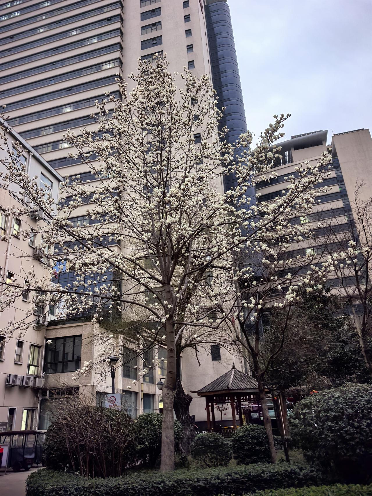 新的一年

祝您有所爱、有所期

有所为、有所成