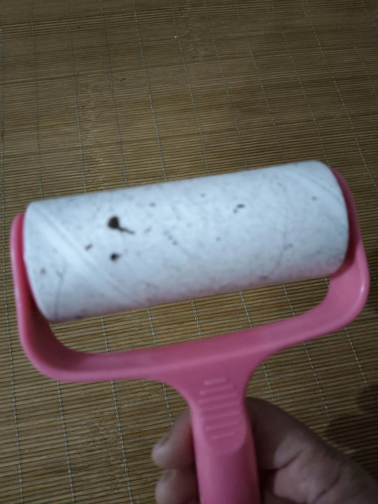 刚才洗完澡到床上，习惯性拿起粘毛滚把床上滚一滚，床上看着也不脏，滚完吓一跳，粘毛