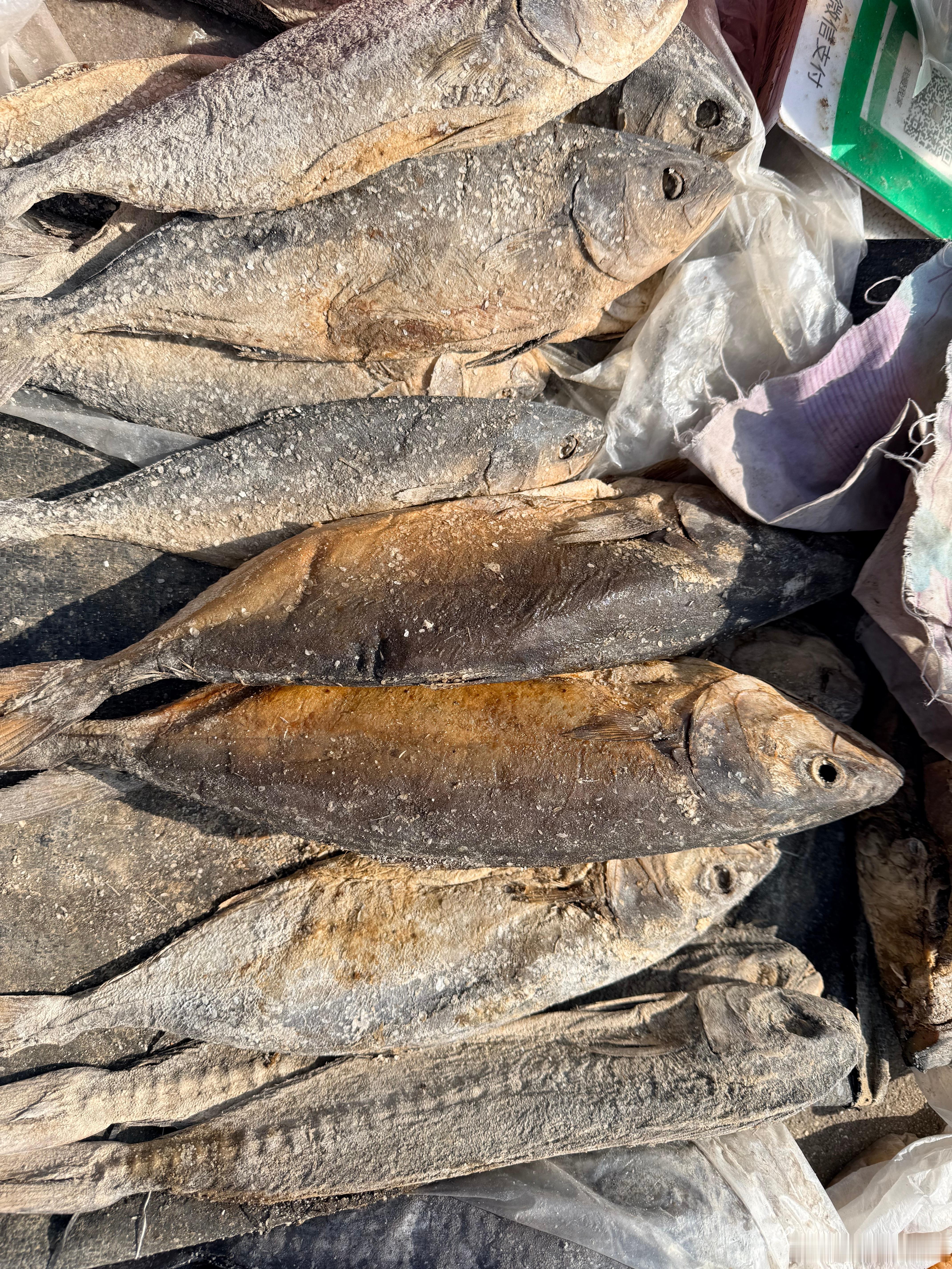 在山东过年的时候，集市上还是有卖这种咸鱼的，就像费县上的千年金枪鱼一样，虽然是旗