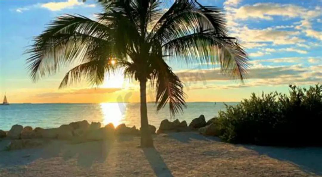 椰树剪影投射在沙滩上，远处的帆船和金色的余晖相映成趣，画面宁静而安详，展现了日落