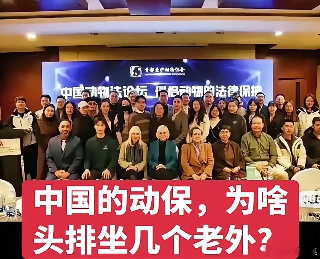 我一直特别好奇一件事:为什么中国的动保组织，每次合影的时候头排都坐着几个老外？你
