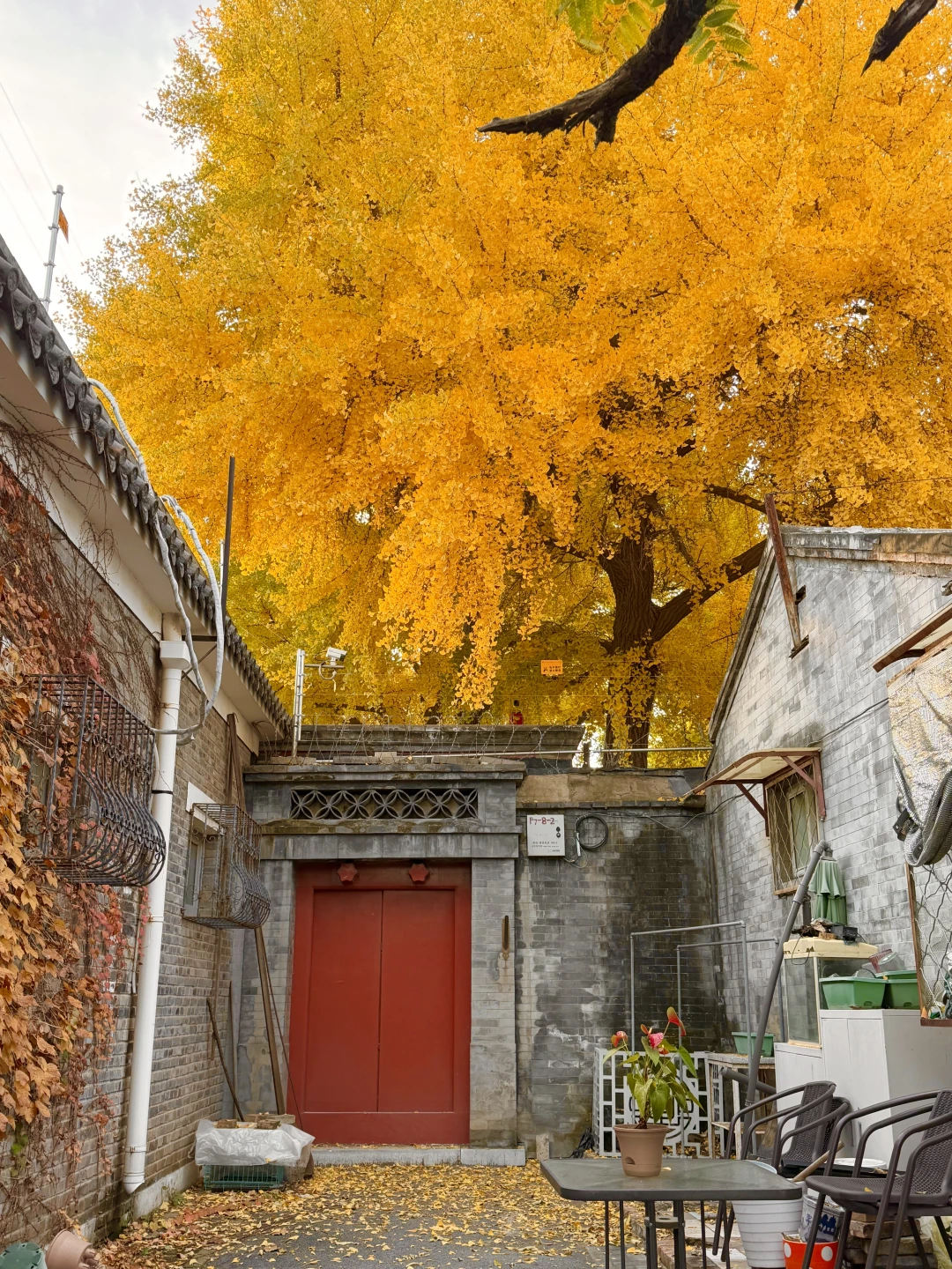 不要放弃下午四点，于是我决定出门溜溜…….