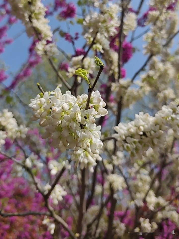 退休前是谋生，退休后是养生。这是生命的二次觉醒。
从前用透支丈量人生的长度，如今