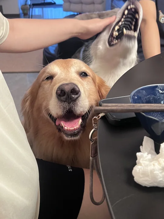 没头脑和很高兴