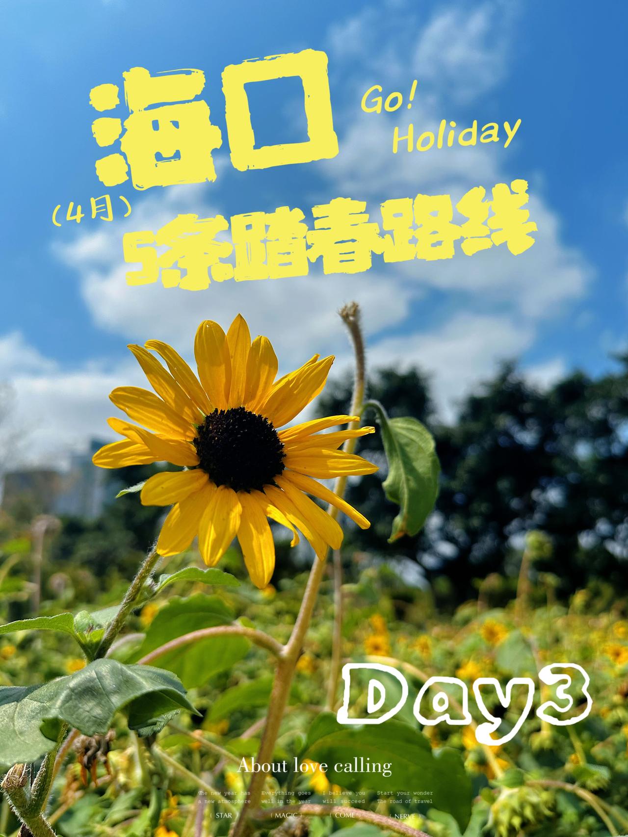路线1️⃣：走村
龙塘蛇桥
水位正好时，石桥蜿蜒湖面，找对机位就是人在画中游📸