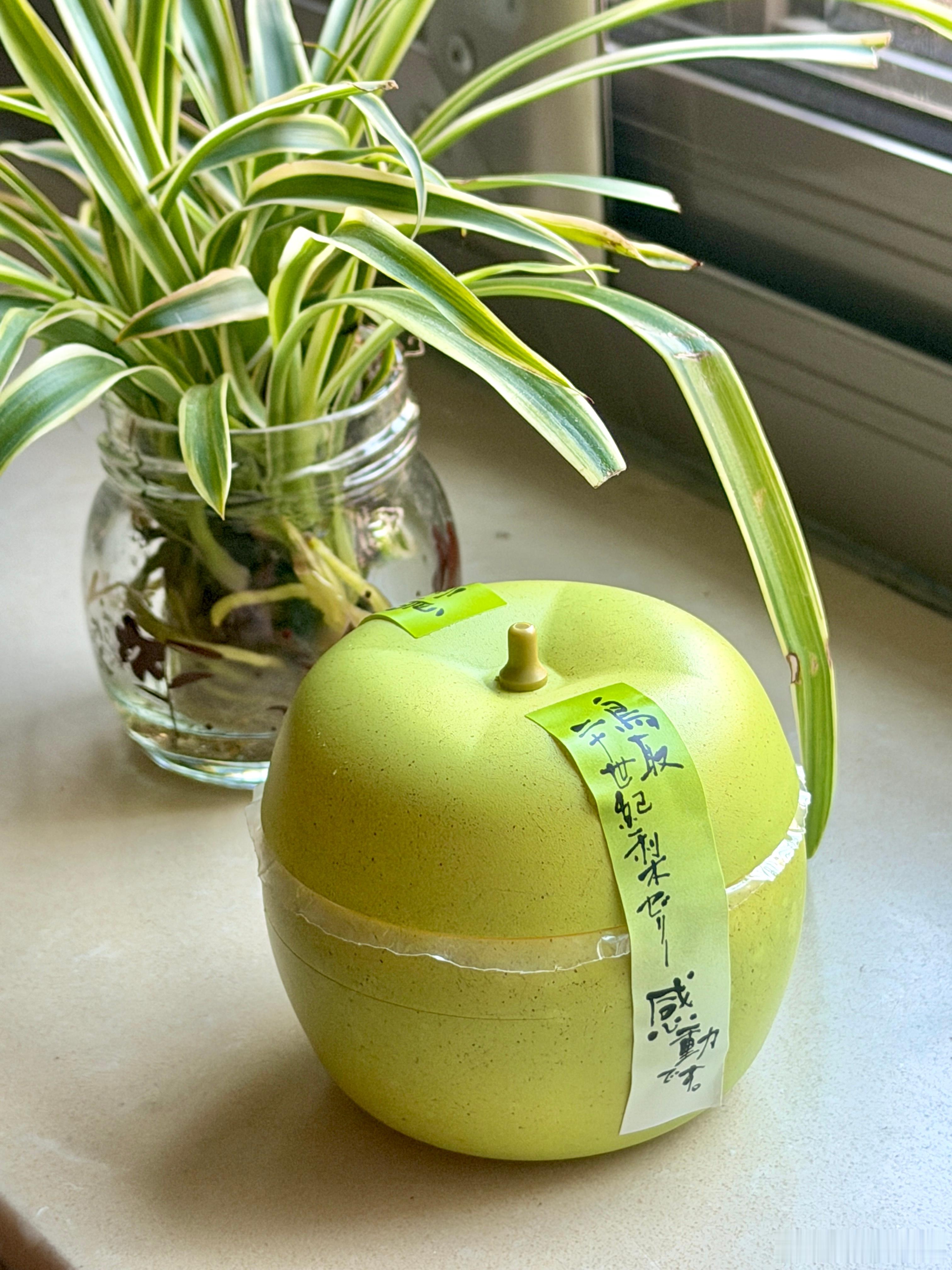 人类就是会上容器的当 ​​​