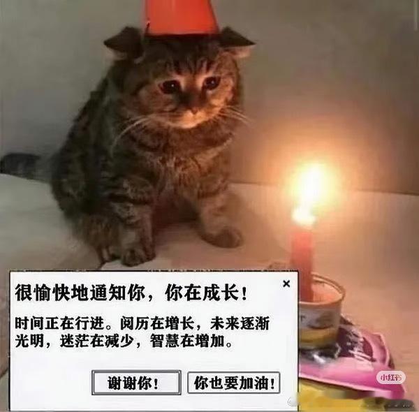 btw我意识到这里有一种耻感文化，当我搞砸了一件事，我应该羞耻，当我在竞争中输给