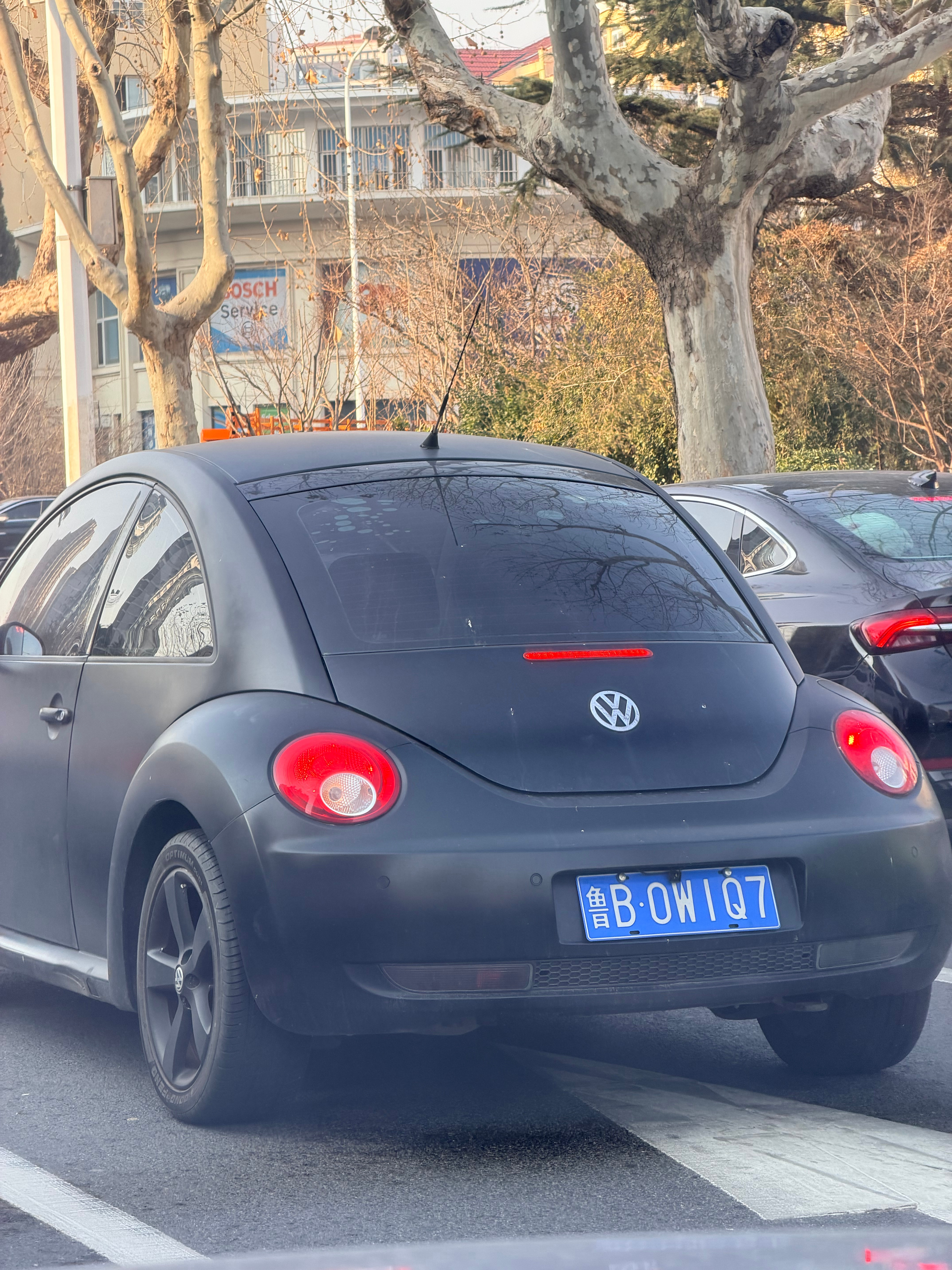 wow wow 太漂亮了……磨砂质感的车漆，在这小甲壳虫上上面给人的感觉非常有质