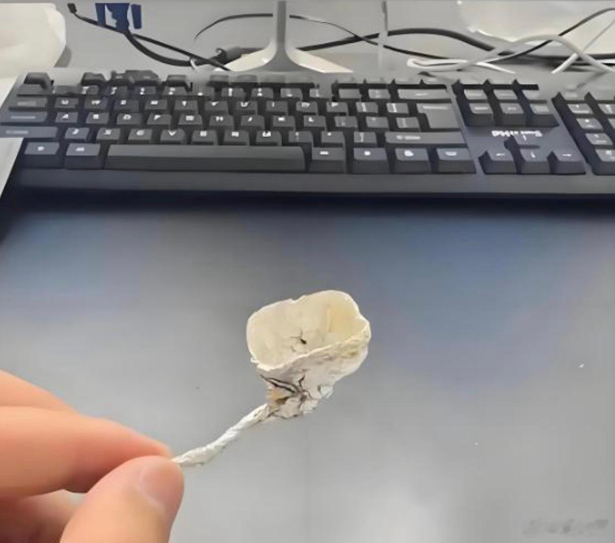 孩子房间发现的这是什么？ 