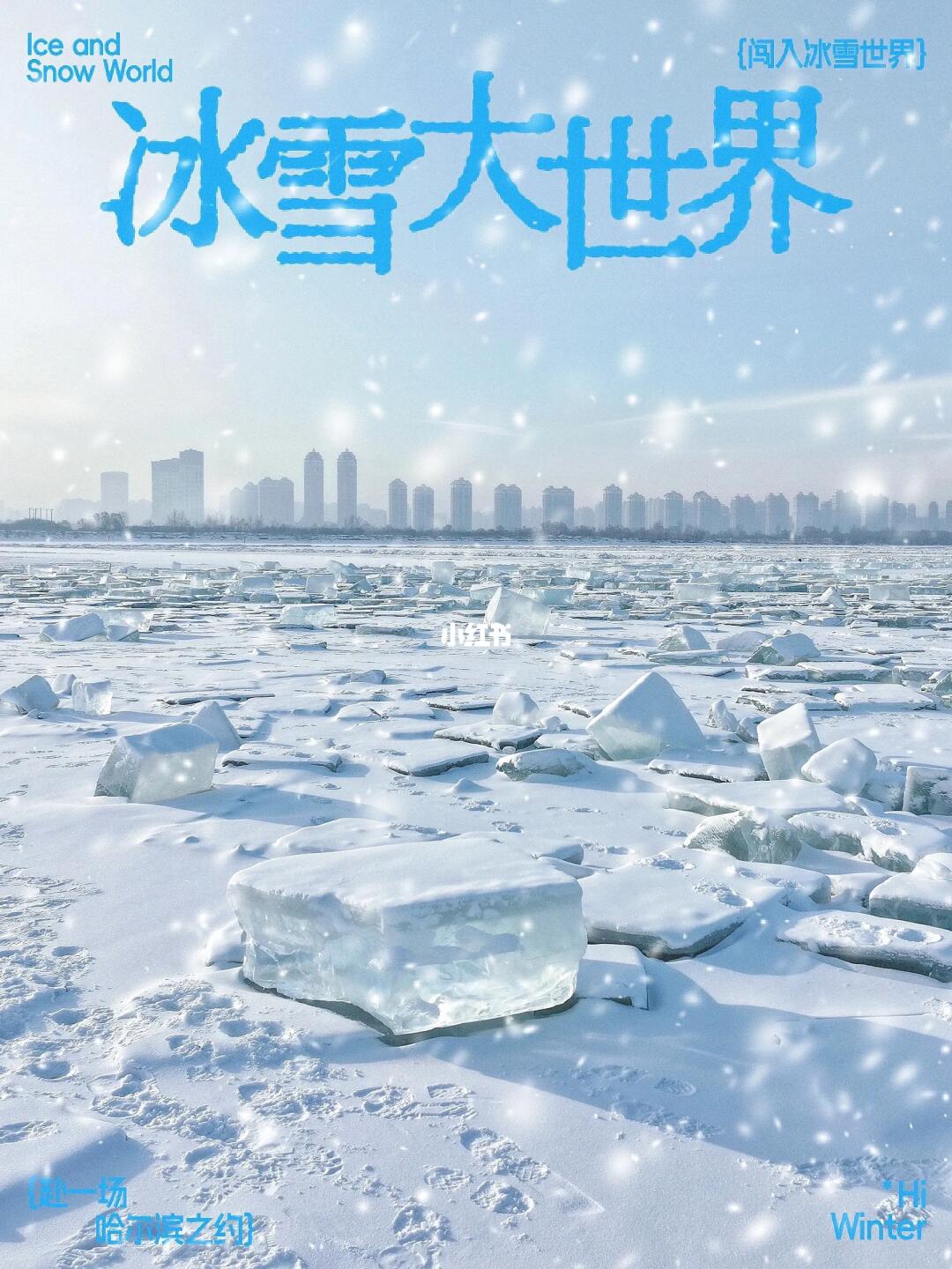 哈尔滨❄️旅游后劲太大了，去了还想去……