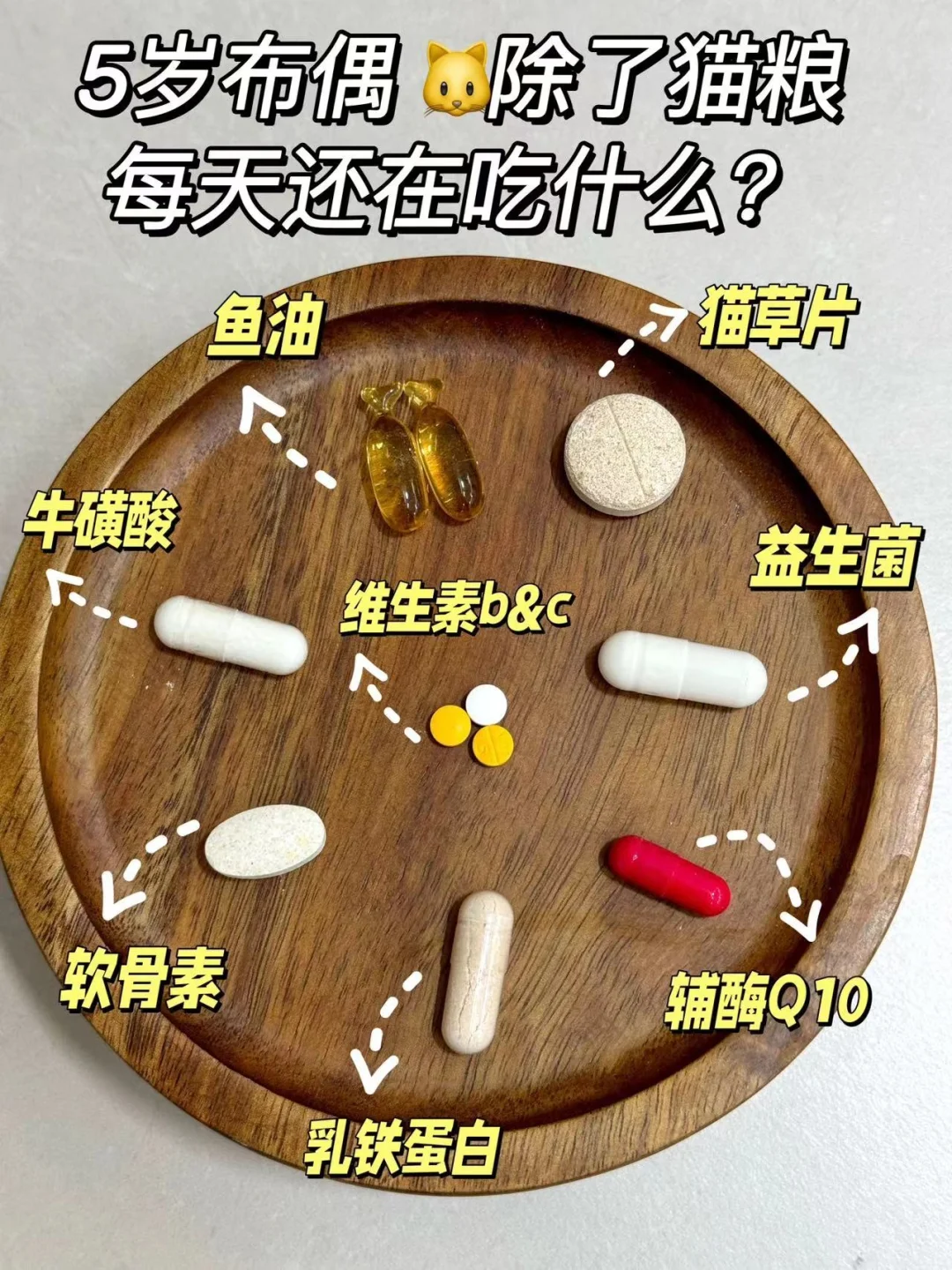 5岁布偶🐱除了猫粮每天还在吃什么？