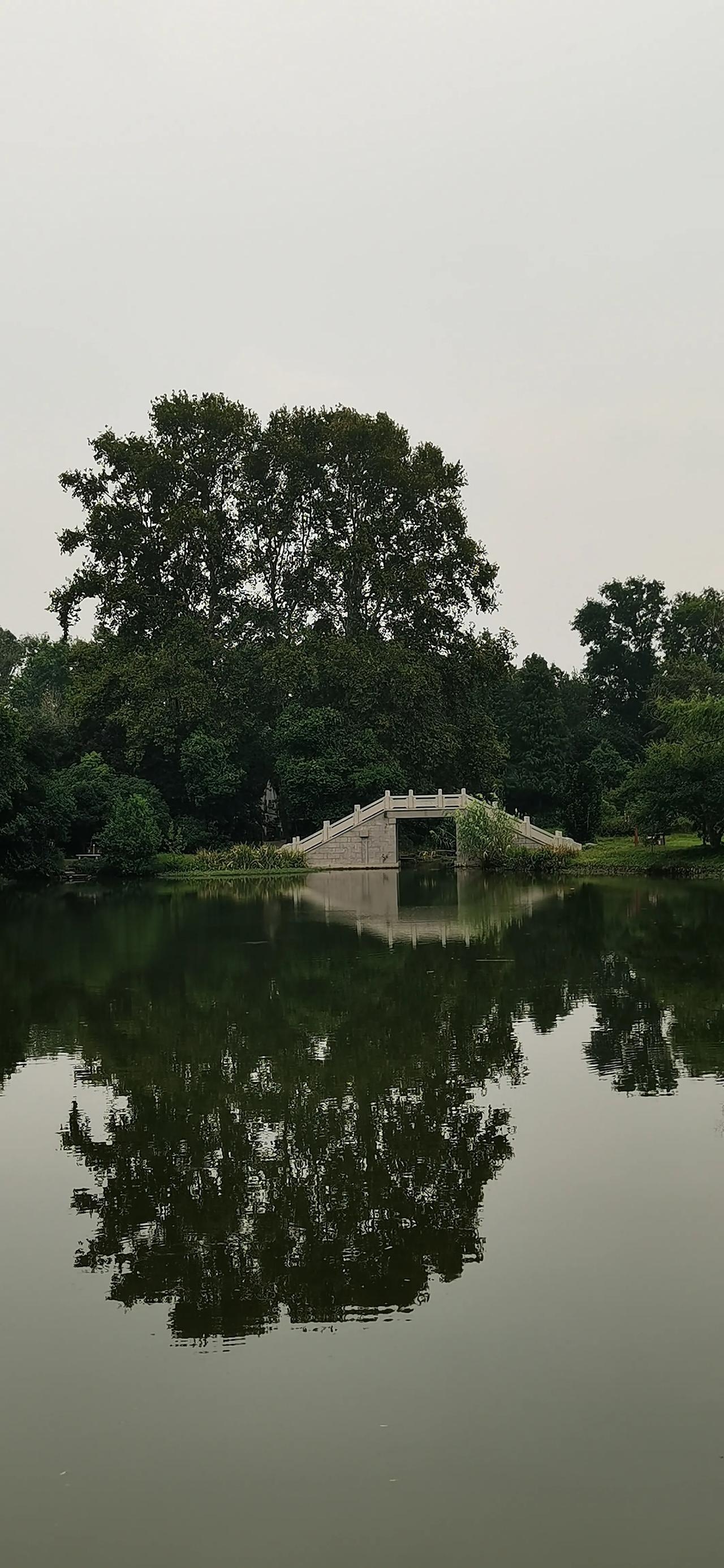 虽已到十月份，但焦山公园的秋色还不算太浓，绿草地上还是一片浓绿，只有杉树叶染上了