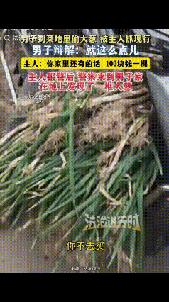 “太过分了！”江苏一女子在菜地里发现有人偷葱，当场抓了个现行，不料，男子不但没有