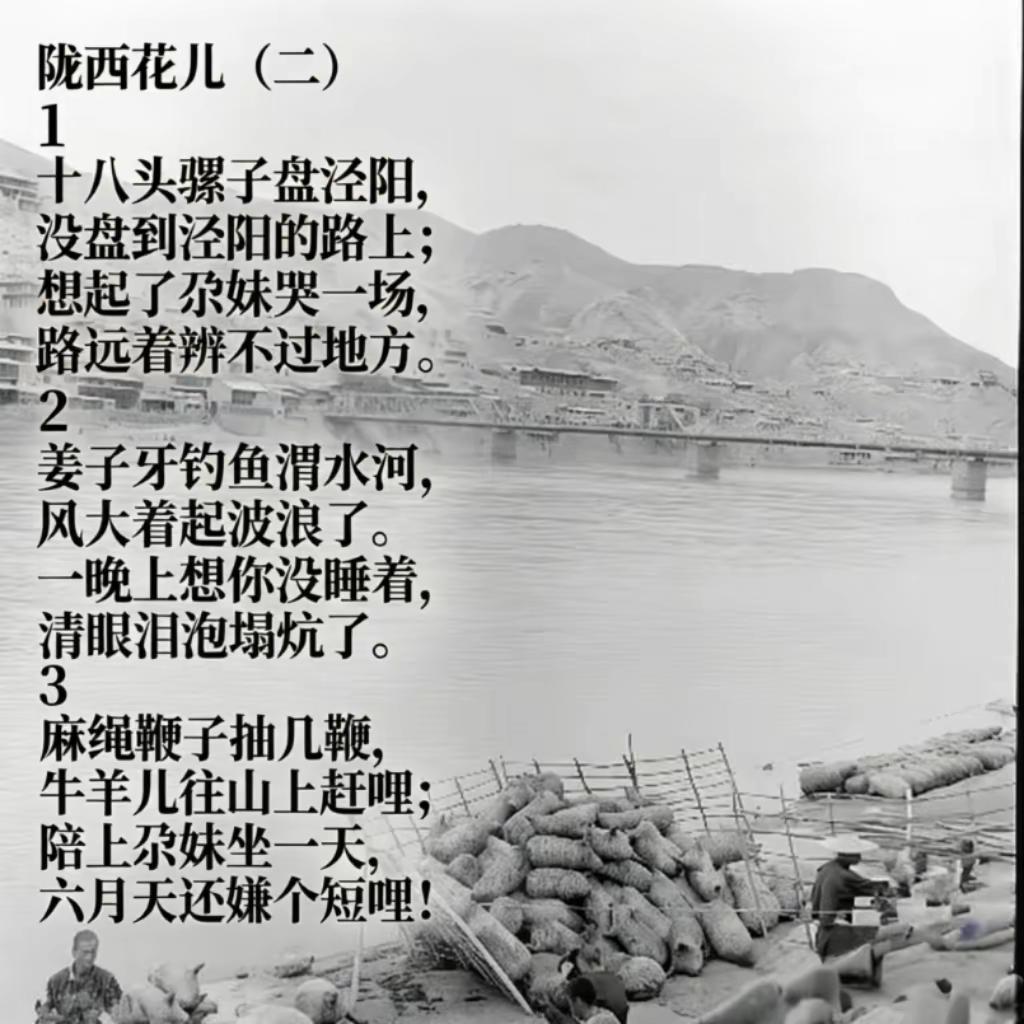 陇西花儿（二）