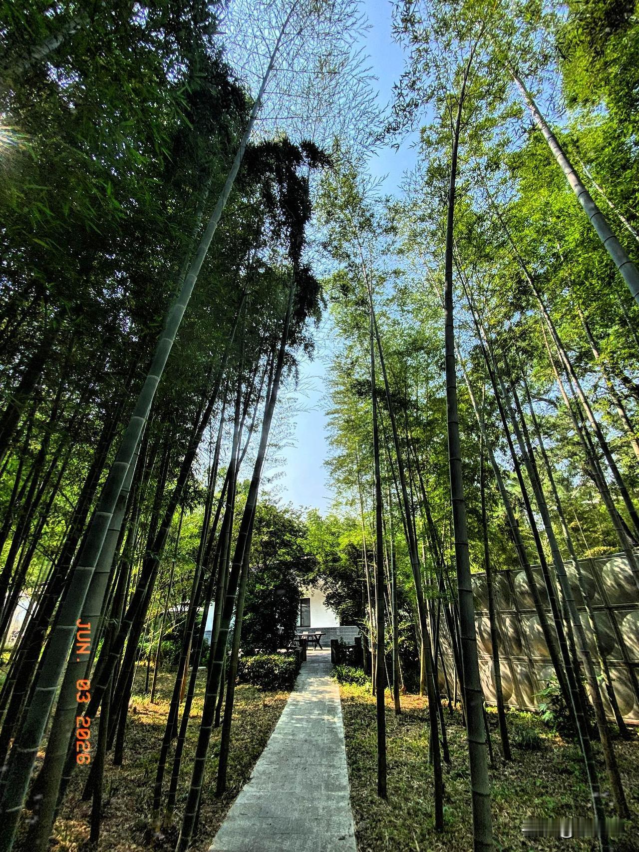 《竹林深处雅居美》
竹林深处藏雅居，游泳池待贤客至，假山喷泉鲤鱼欢，竹楼圆顶似客
