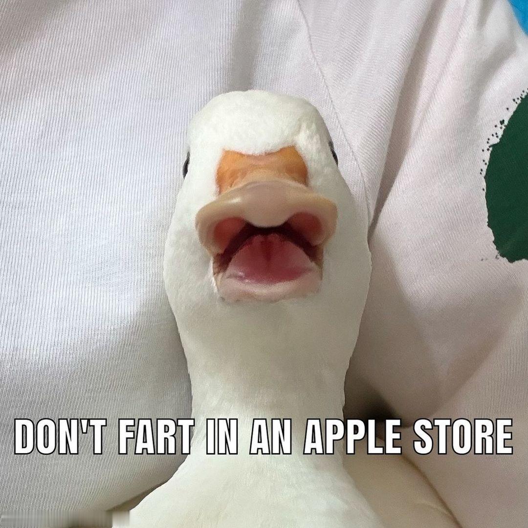 #iPhone16#有道理 ​​​