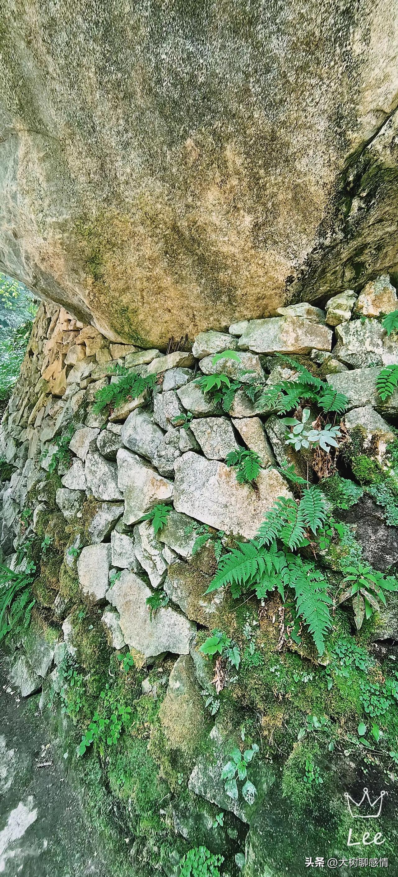 养父去世半年后，我经常梦见他。在梦里，他的坟一会被水淹了，一会他哭着要换地方。养