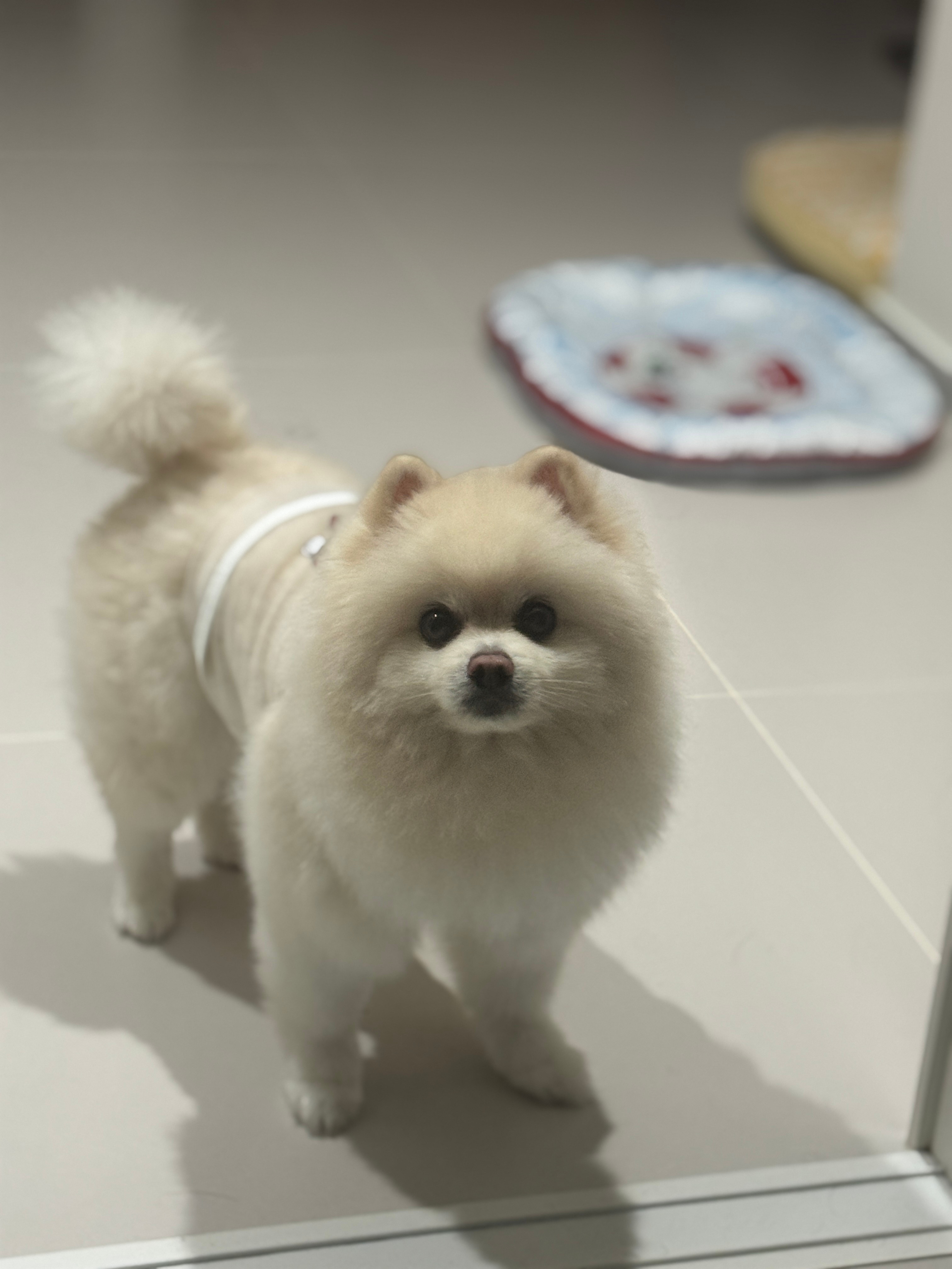 亲妈滤镜 