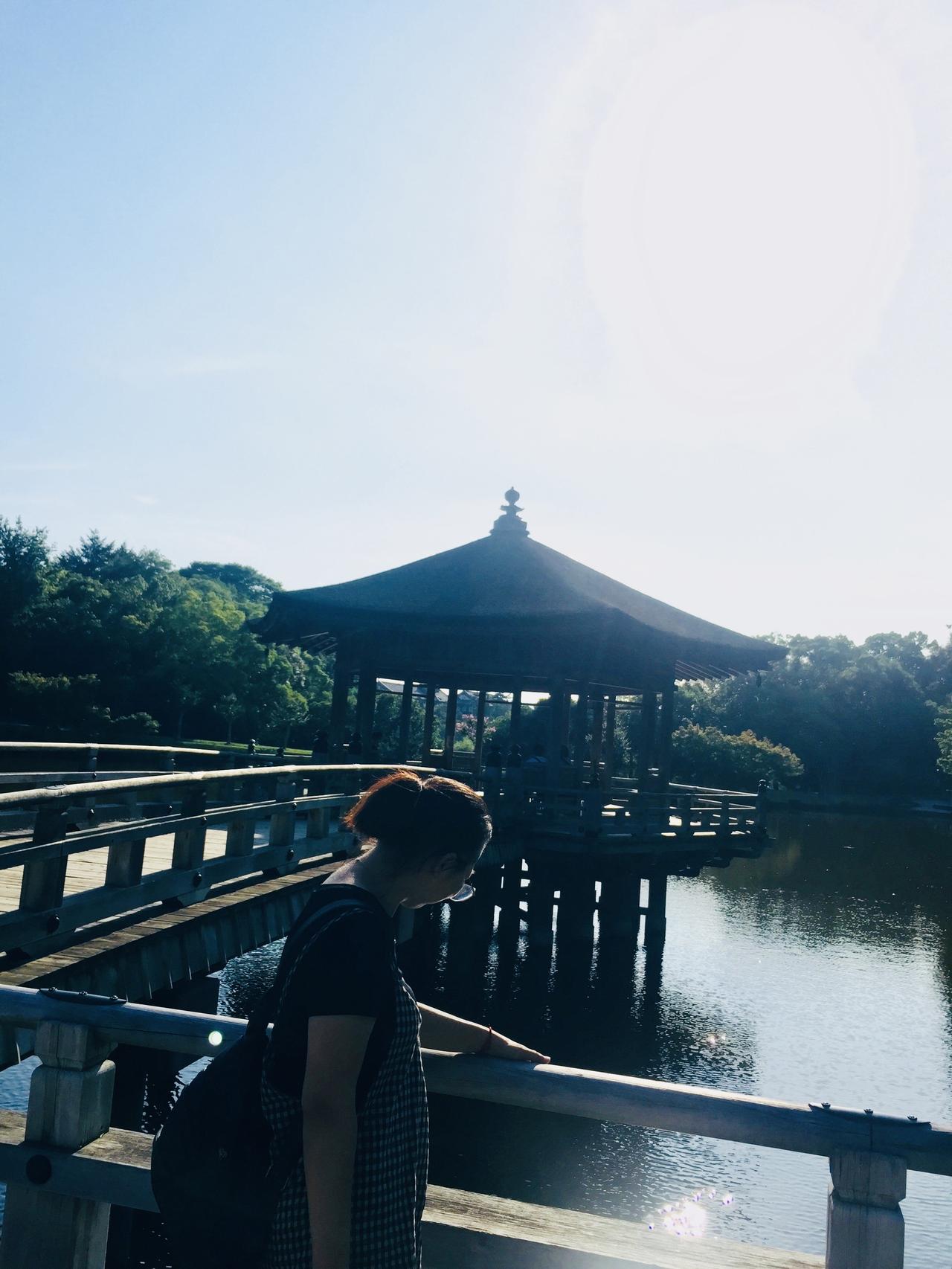 突然感觉缺点什么似的，想了想才明白过来，好像是秋天没有过，冬天已经到来。

这天