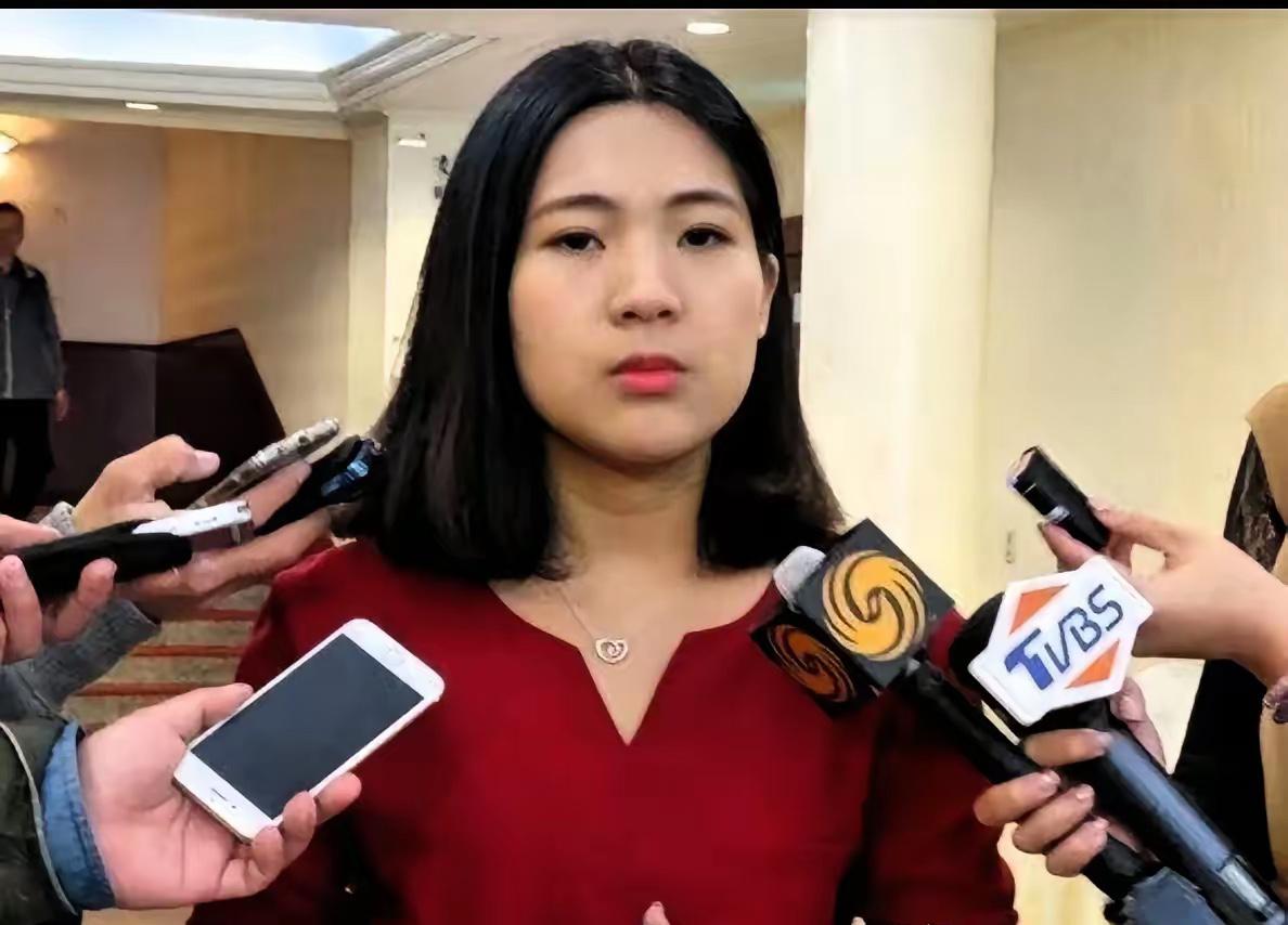 徐巧芯这个观点确实通透！把吴石的选择说成“叛变”，根本是没看懂乱世里的“大义变通