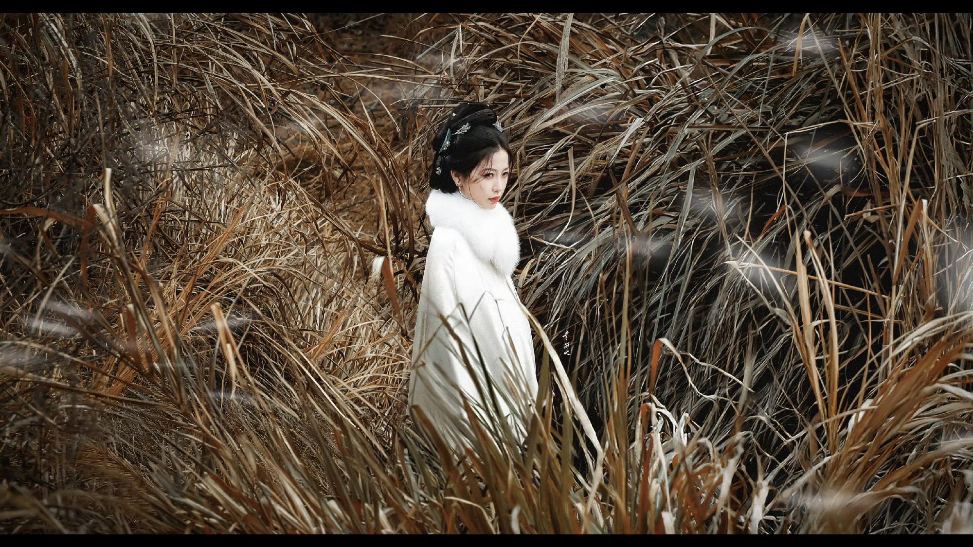 贝塔太牛了 每一张图都可以拿来当云初令剧照了 