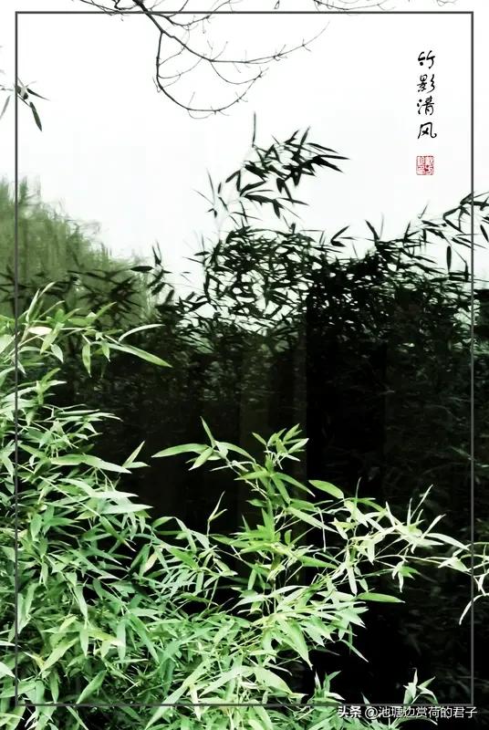 对联这玩意儿，讲究的就是个对仗工整、意境相衬。看到“一帆烟雨悄然去”，我脑海里立