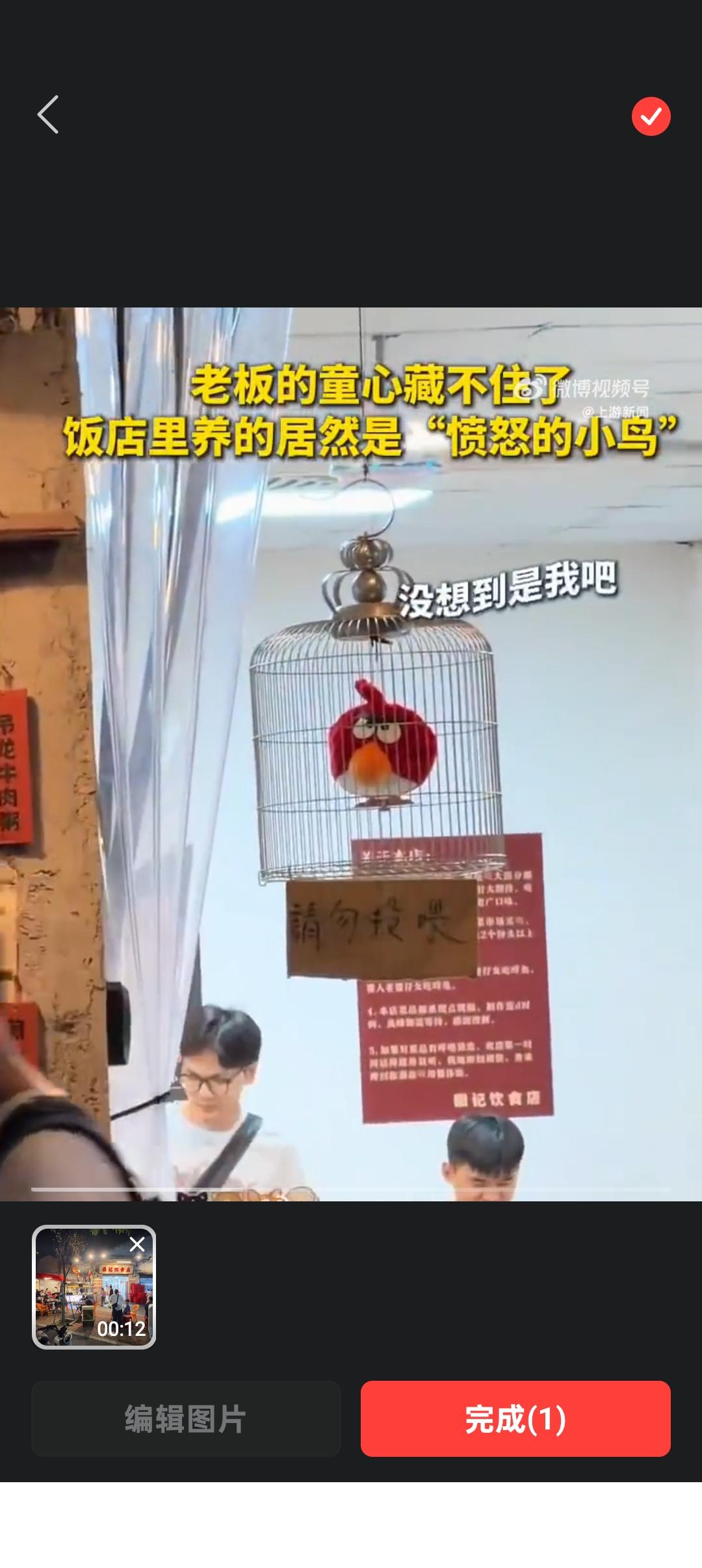 近日，广东一饭店老板养的鸟因酷似游戏“愤怒的小鸟”走红，网友：老板的童心藏不住了