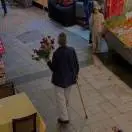 紫槐闲聊科技