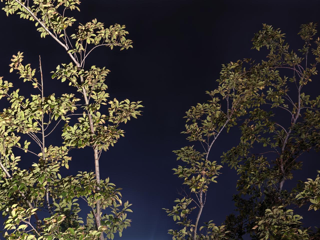 那老夫就不得不祭出这张神图了，有谁知道为什么一边亮一边暗吗？[大笑]