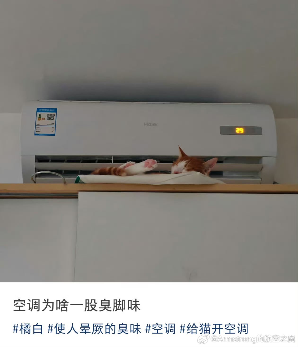 为啥呢 