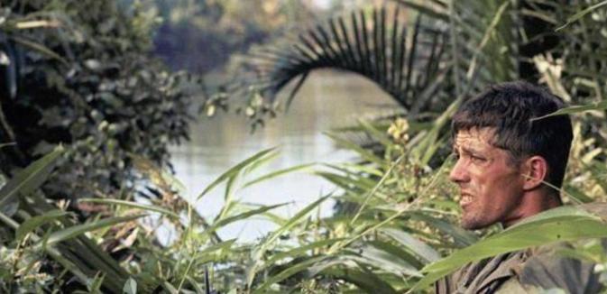 越南战争时，很多美军士兵在战场上没有老婆陪着，就找了越南当地的女子。结果20年后