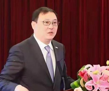 前妻才是人间清醒啊！

密春雷百亿身家崩塌，董卿跟着坠入泥潭，唯独前妻金晶全身而