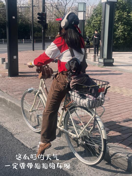 带着狗狗感受骑小车的快乐