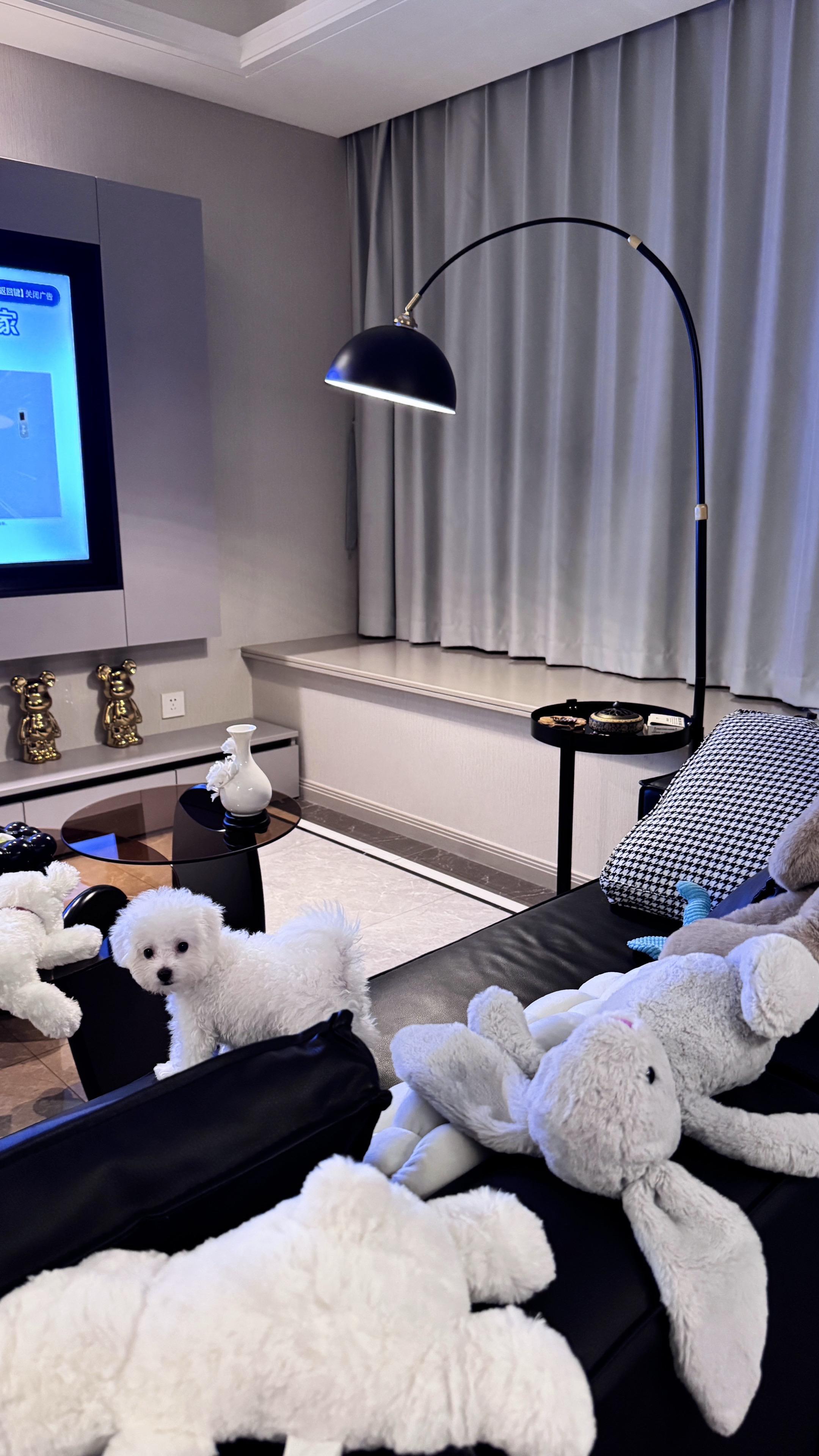 苦尽甘来的甘其实是泔水的泔