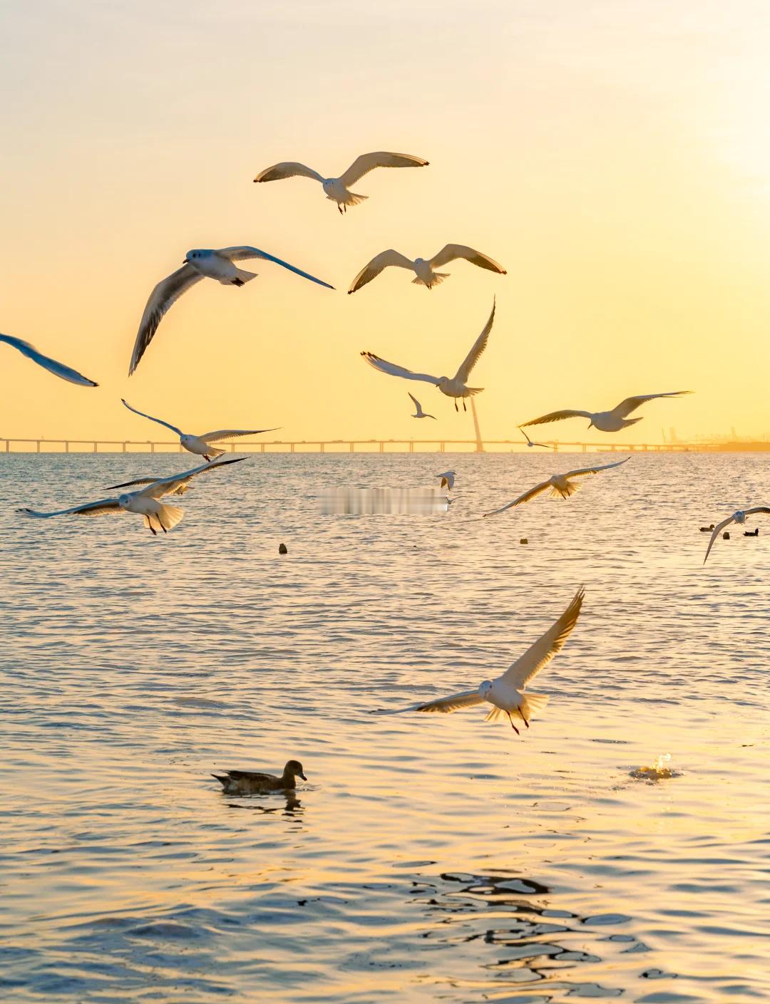 财富的分配，常在众人恐慌时悄然开始，在众人狂热时已然完成。当下阶段，我们许多优质