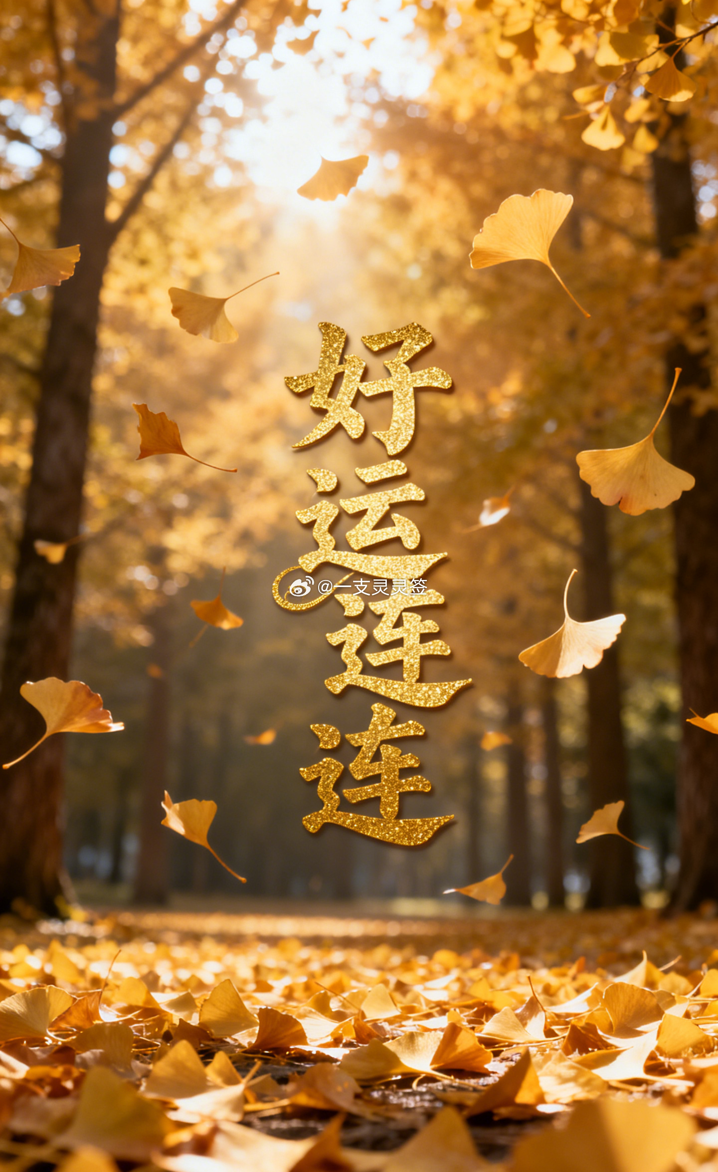 很多人觉得运气是天注定的，改不了。其实运气跟肌肉一样，是可以养的。你每天做的每一