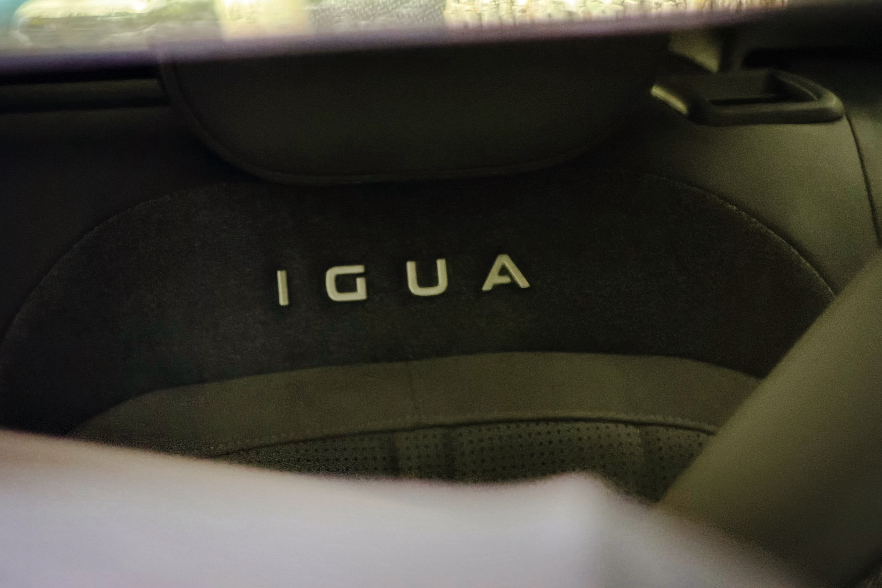 今天驾驶IGUA爱瓜汽车  汽场全开